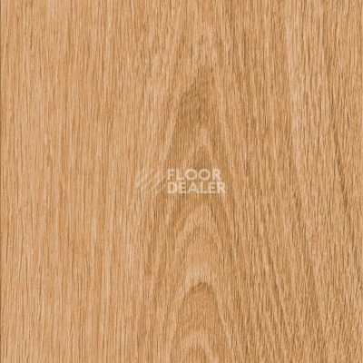 Кварцвиниловые полы AW Invictus Maximus Plank Highland Oak Classic фото 1 | FLOORDEALER